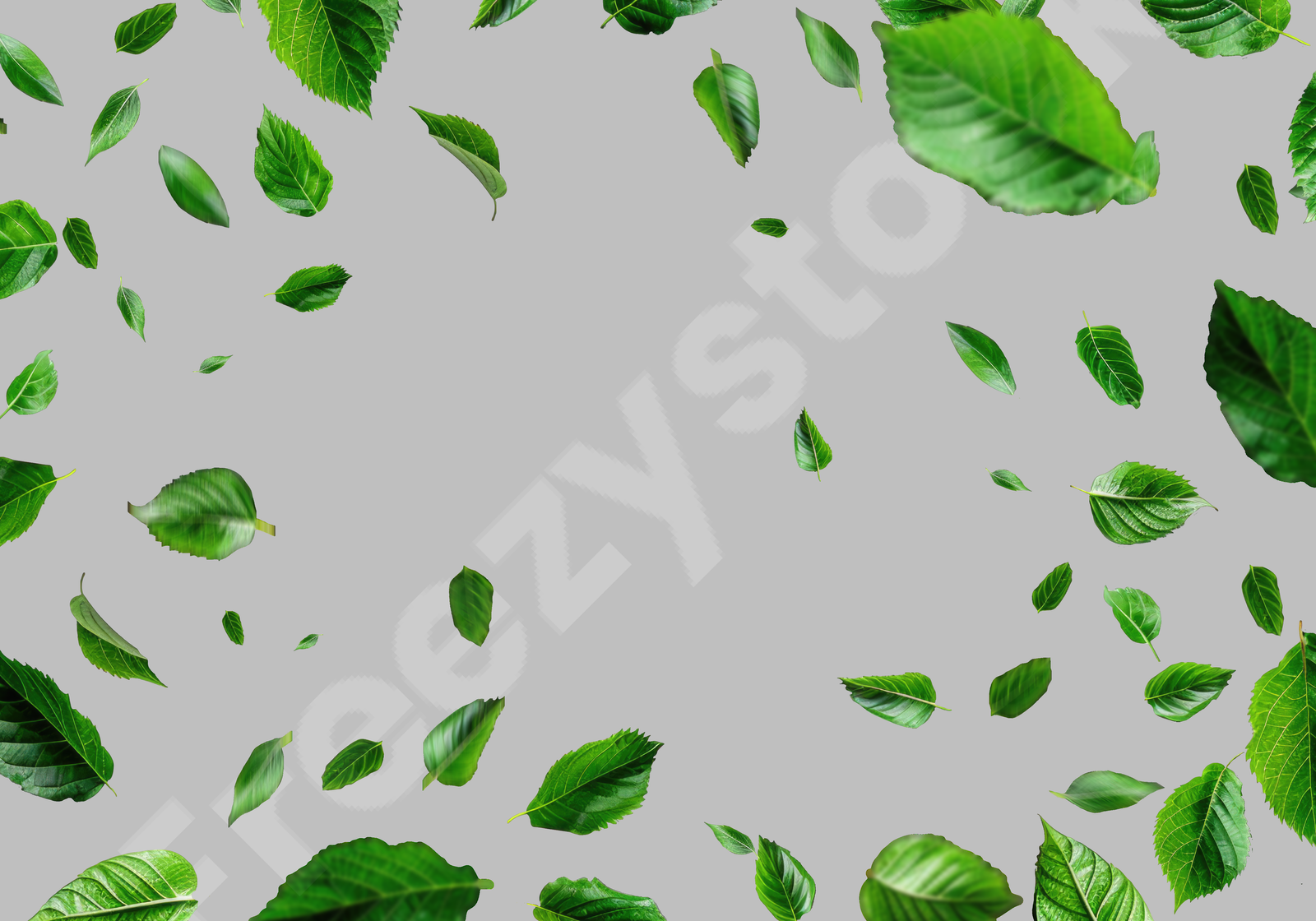 Download Free High Quality Leaf Png loading=