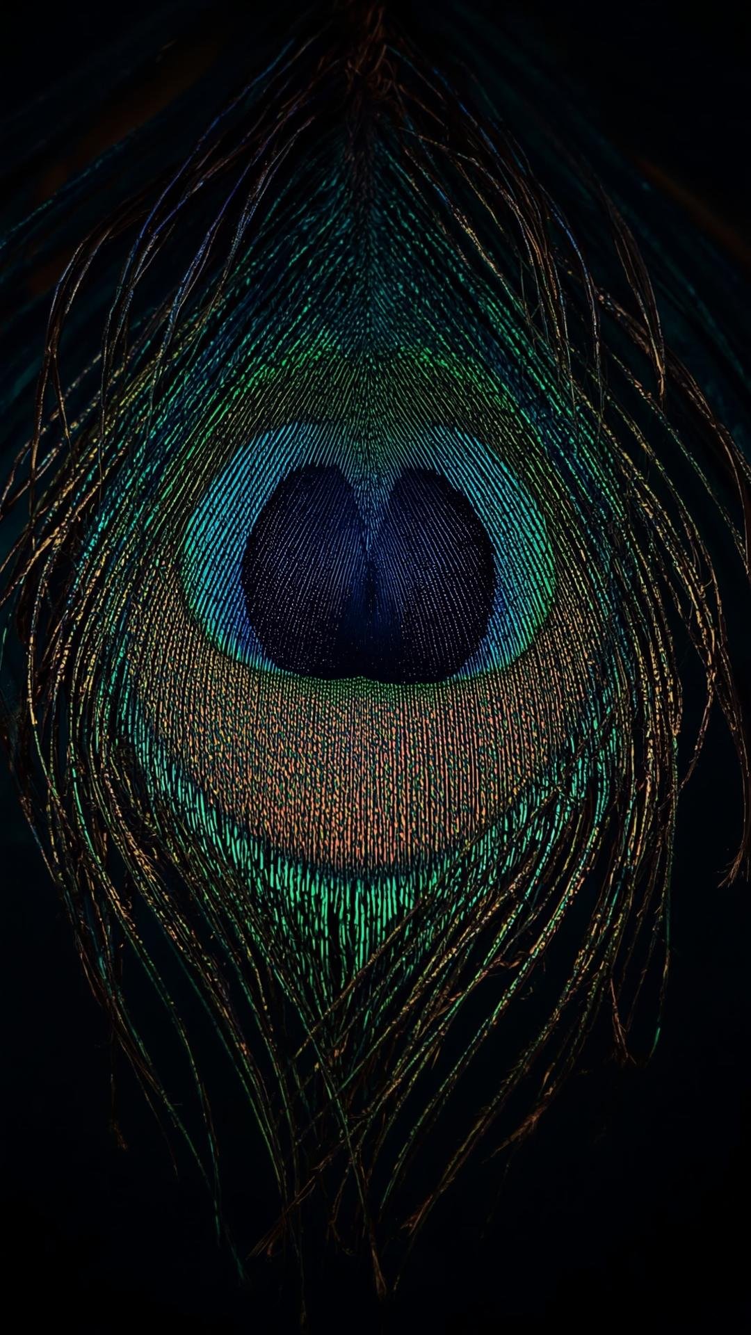 Download Free 4K Peacock Feather Wallpaper
