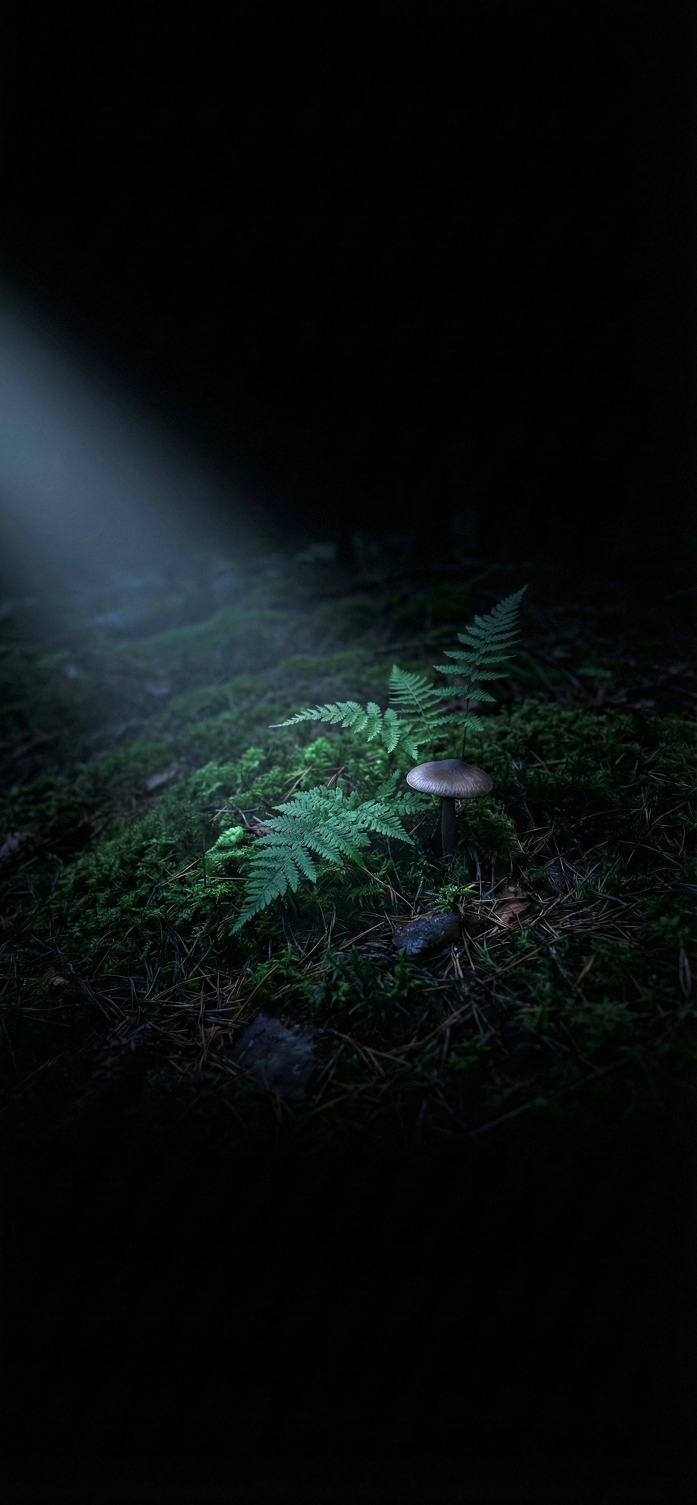 Dark Nature Wallpaper 4k Hd wallpaper 4k hd