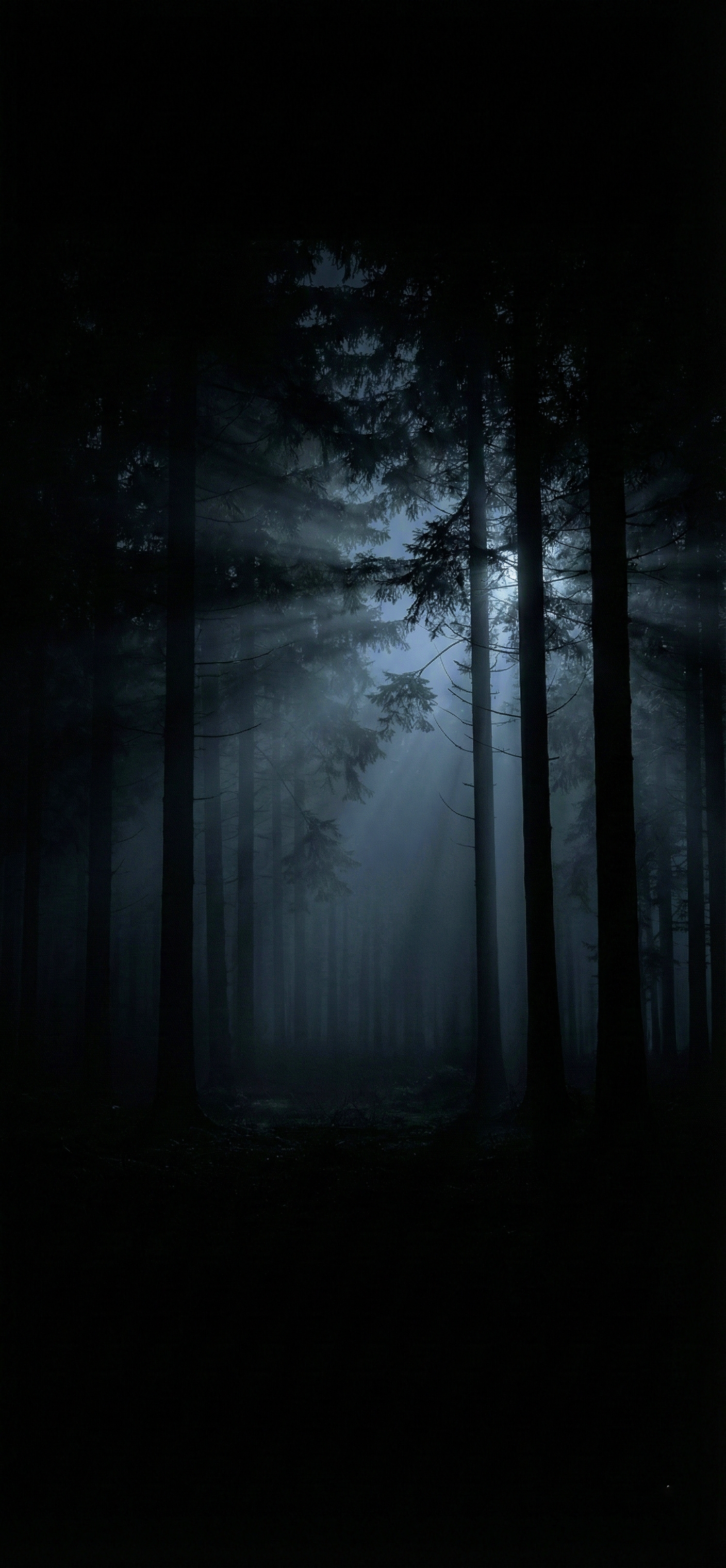 Dark Nature Wallpaper 4k wallpaper 4k hd