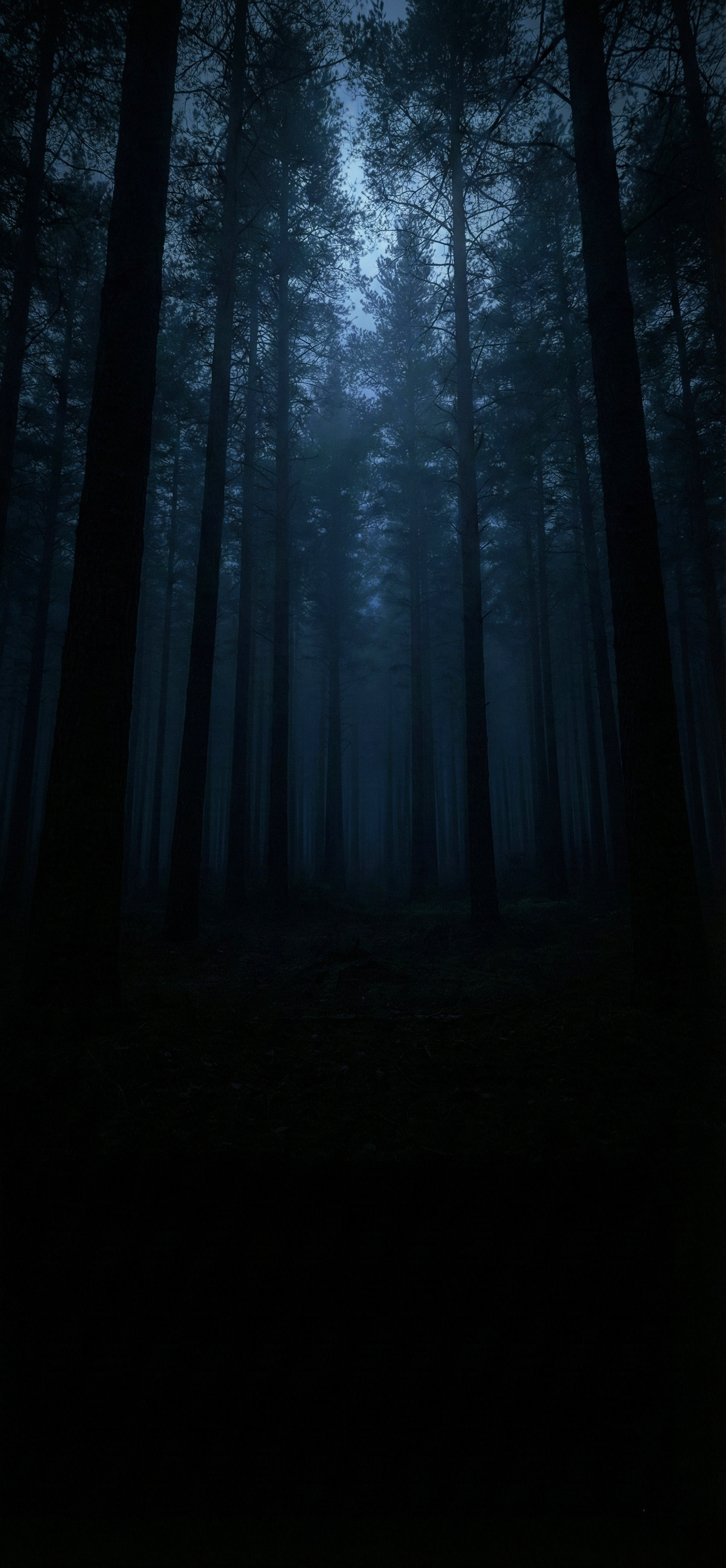 Dark Sunset Nature Wallpaper wallpaper 4k hd