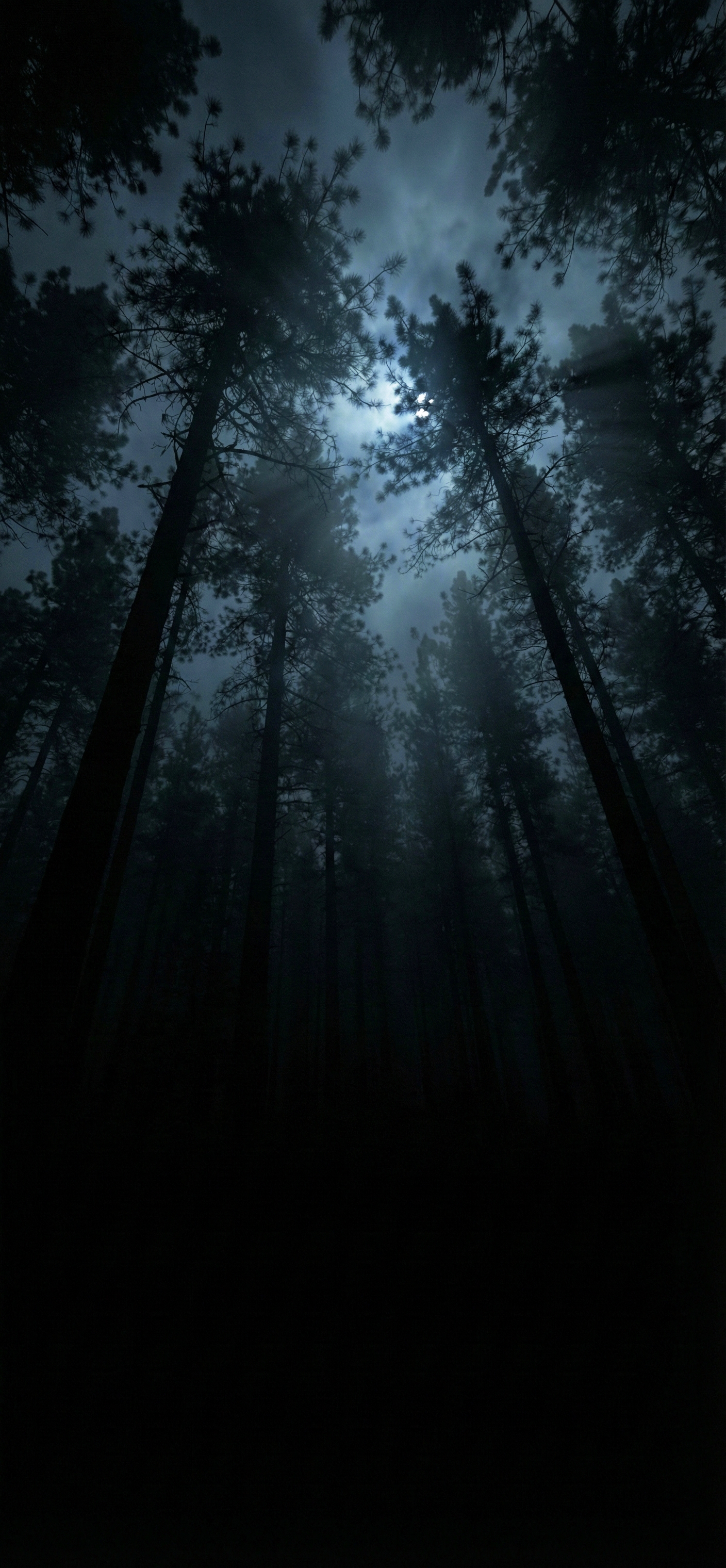 Dark Wallpaper Hd For Mobile wallpaper 4k hd